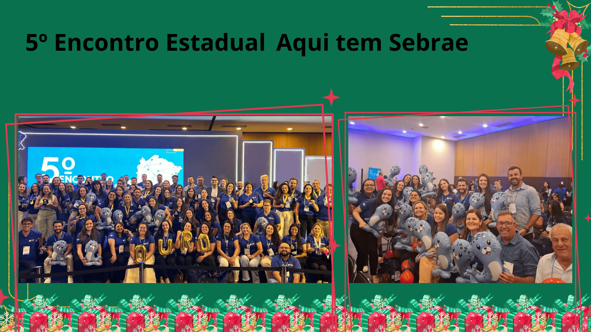 BRUNO DEZEMBRO 2025 7