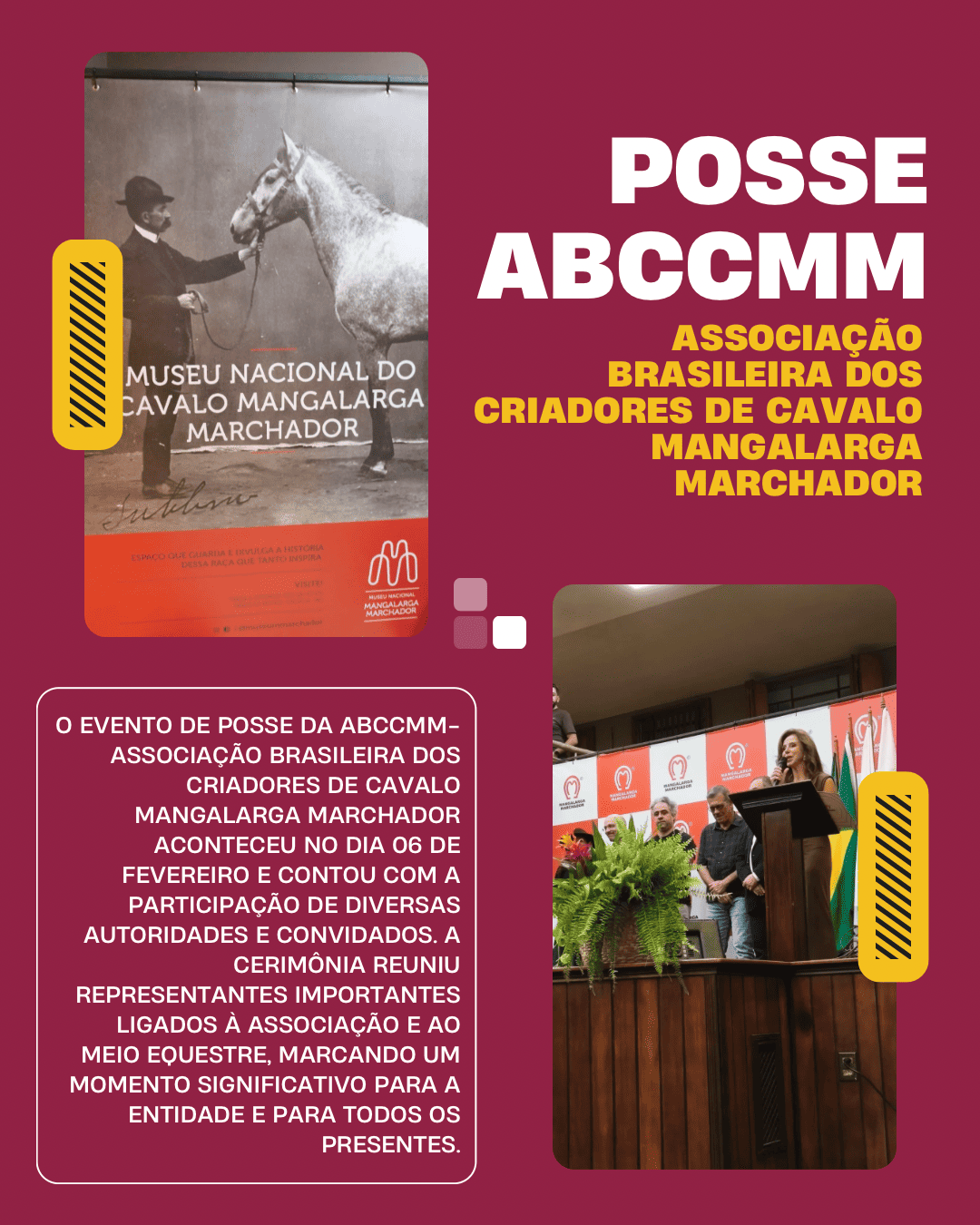 LARISSA FEVEREIRO 2026 - 2