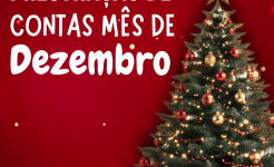 PRESTAÇÃO DE CONTAS DA VEREADORA - LARISSA CAMPOS ANDRADE DO MÊS DE DEZEMBRO DE 2025 LARISSA DEZEMBRO 2025 - 1